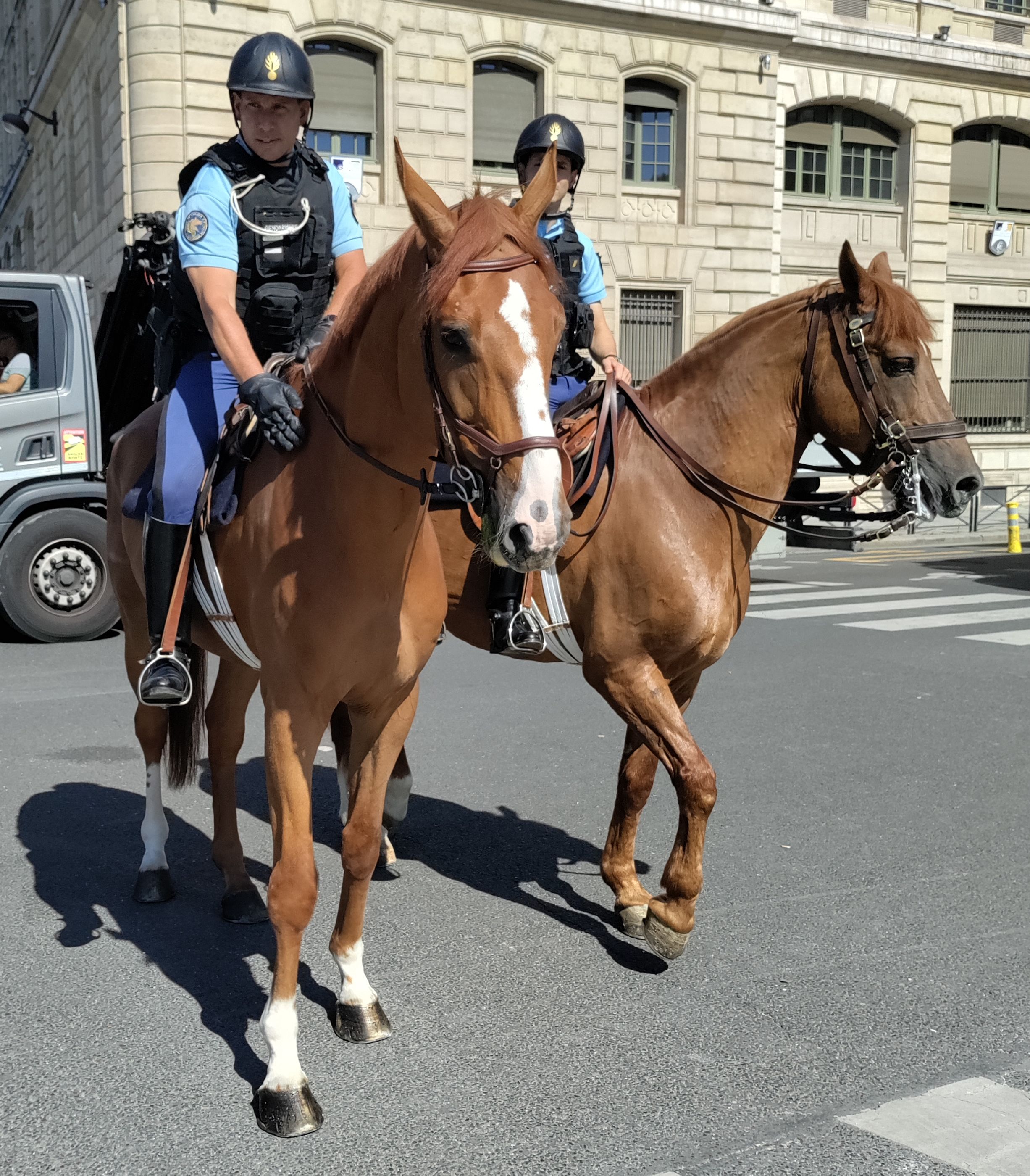 Two policemen mounted on horses in the middle of the street near Notre Dame cathedral.